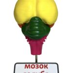 Мозок голуба модель для вивчення будови головного мозку птахів