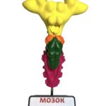 Мозок акули модель для вивчення нервової системи хрящових риб