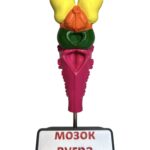 Мозок вугра модель для порівняння будови головного мозку риб