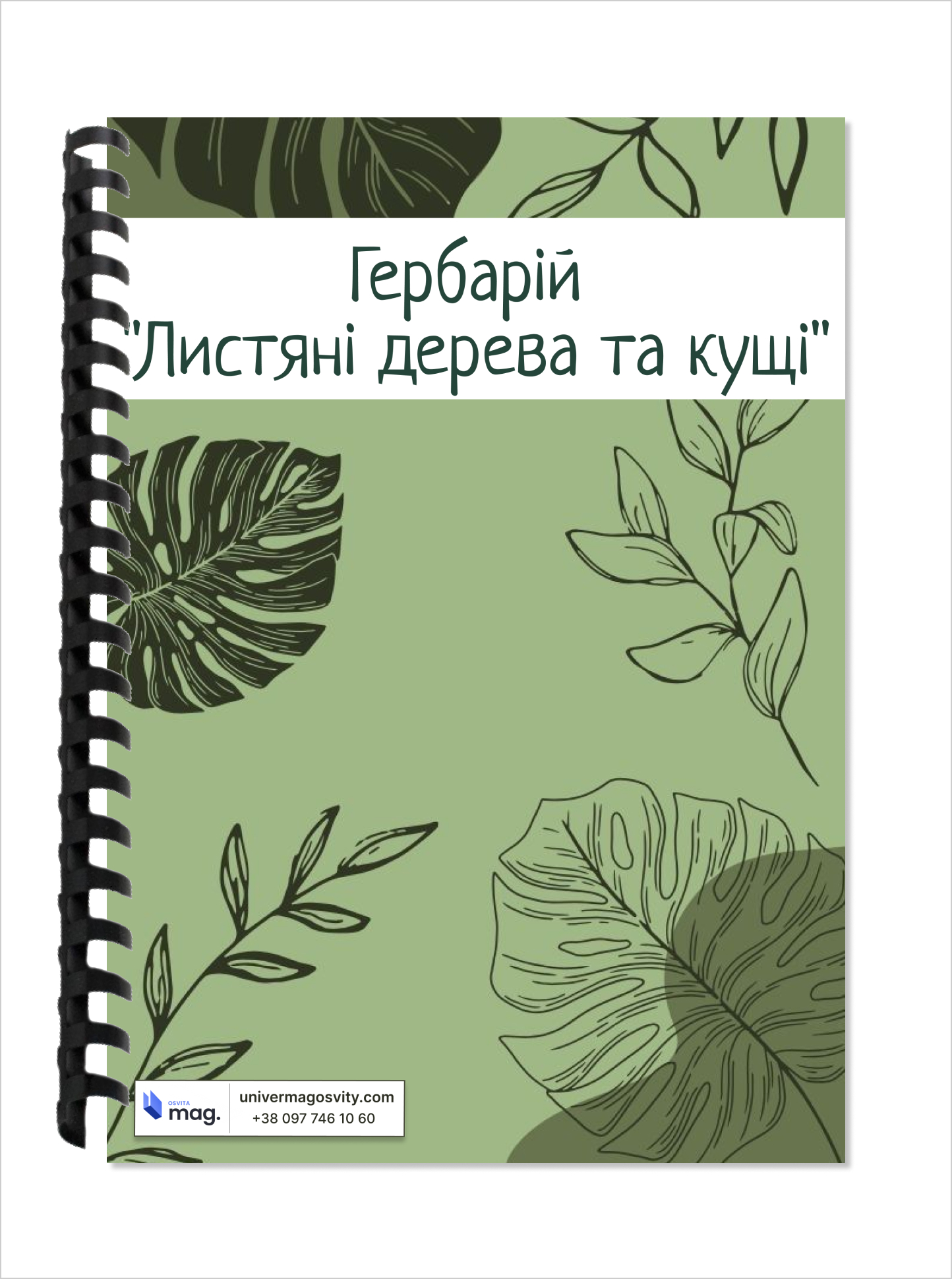 Гербарій «Листяні дерева та кущі»