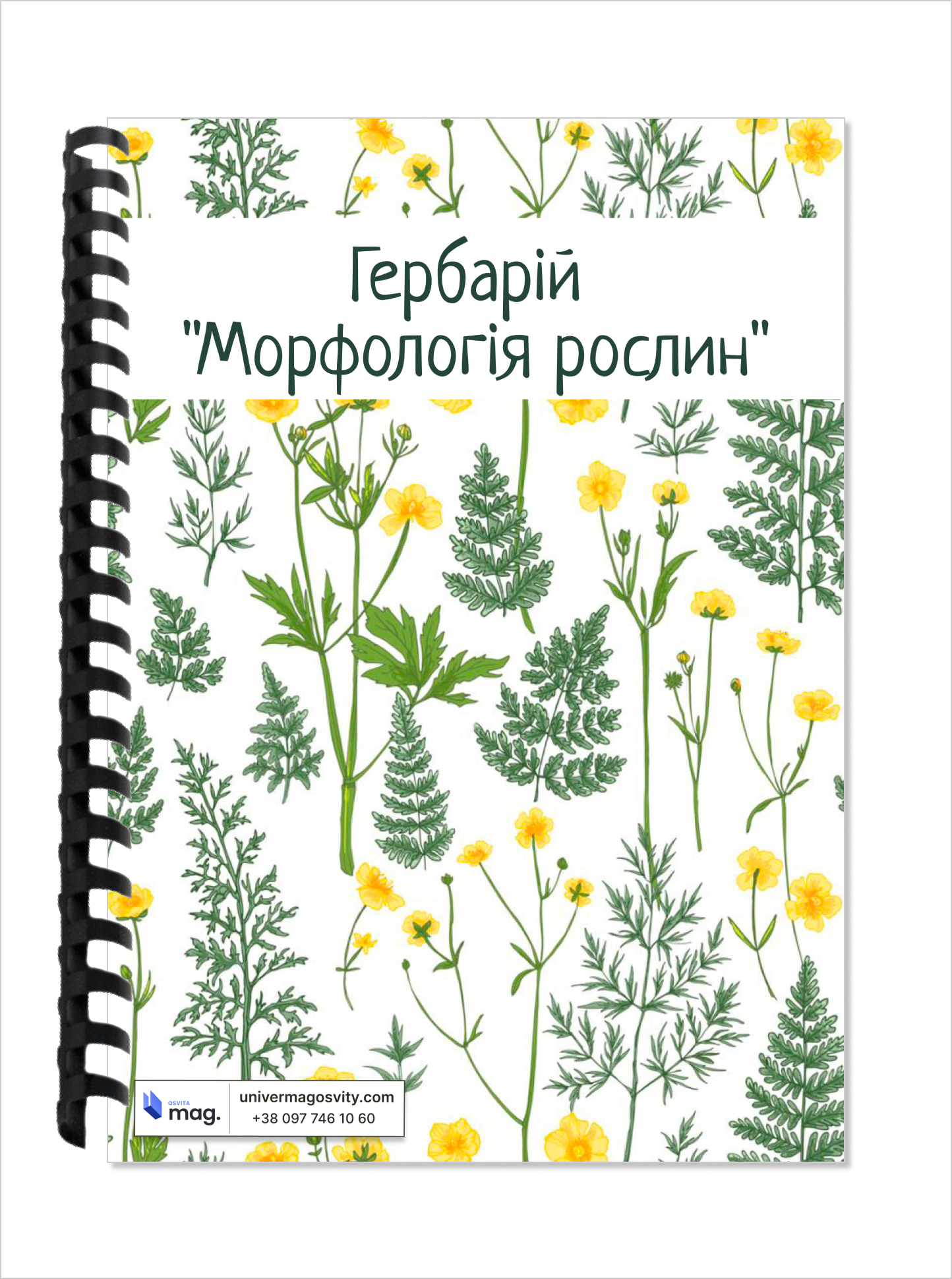 Гербарій «Морфологія рослин»