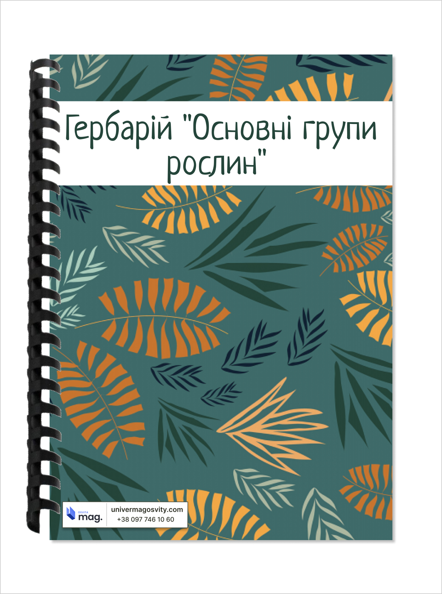 Гербарій «Основні групи рослин»