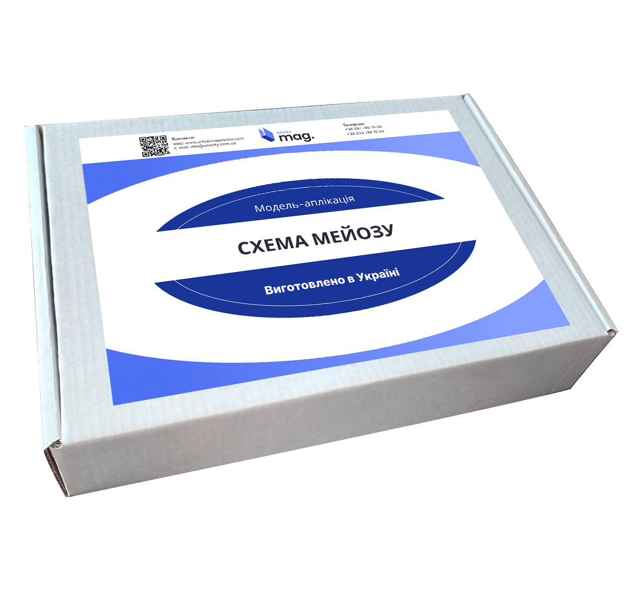 Модель-аплікація «Схема Мейозу»